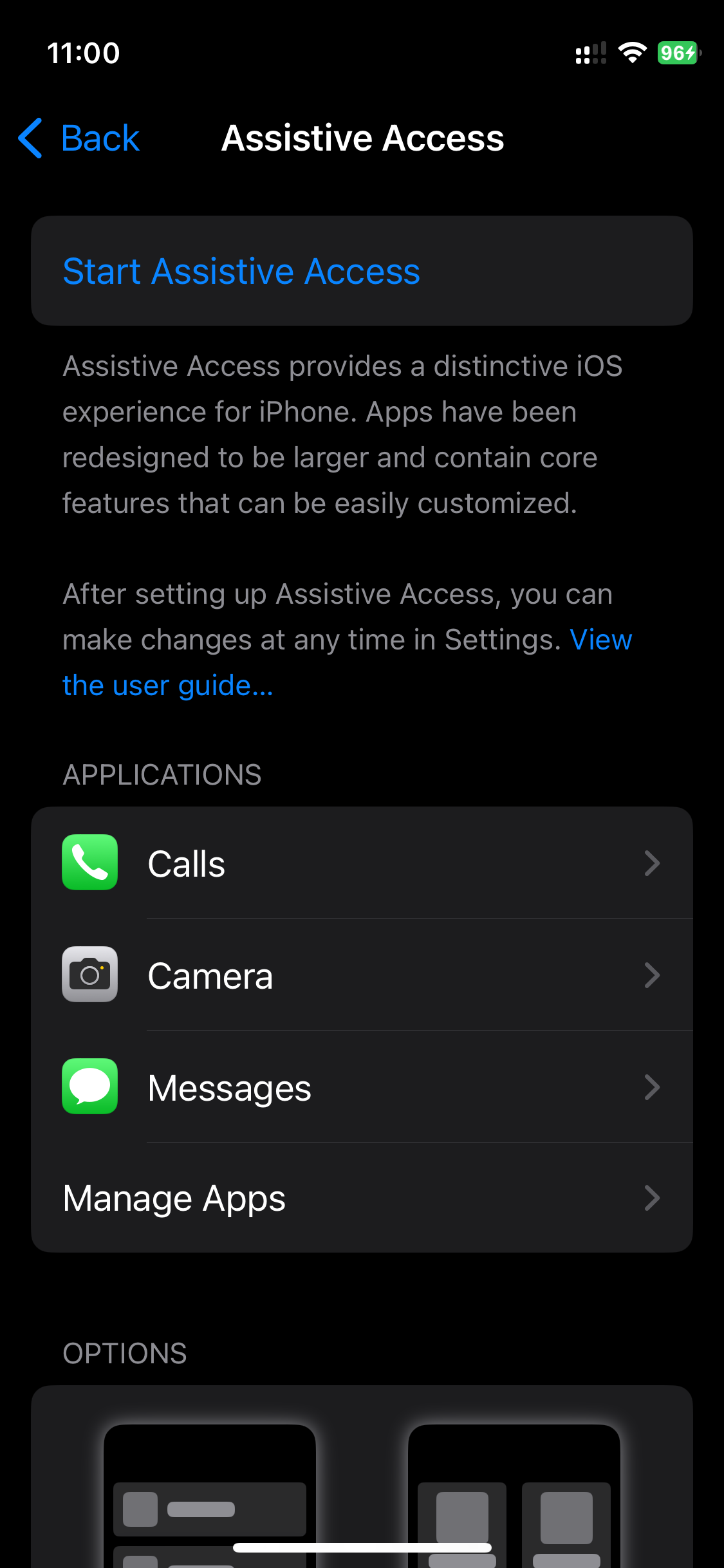 Assestive Access iOS 17